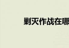 剿灭作战在哪里打相关信息介绍