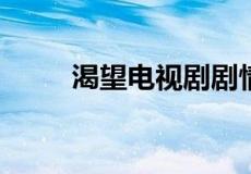 渴望电视剧剧情介绍相关信息介绍