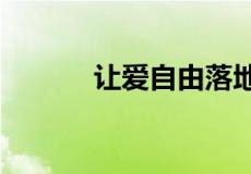 让爱自由落地txt相关信息介绍