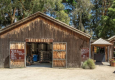 著名的莫宁顿半岛酿酒厂和小屋以数百万美元的价格重新上市