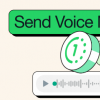 您现在可以在WhatsApp中发送消失的语音消息
