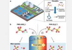 解锁可持续水处理压电激活过硫酸盐的潜力