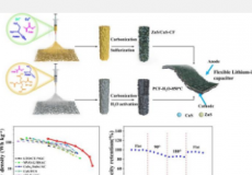 双金属硫化物改善锂离子电容器负极材料的整体功能