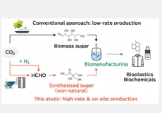 使用化学合成糖的生物制造可以实现糖的可持续供应