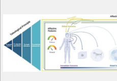 全球科学家工作组开发了人类情感组的统一框架