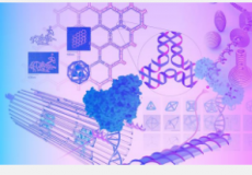 亚利桑那州立大学生物设计研究所科学家郝燕荣获著名的洪堡研究奖