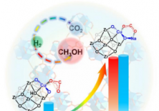 碱修饰微环境有助于铜单原子催化剂进行二氧化碳加氢