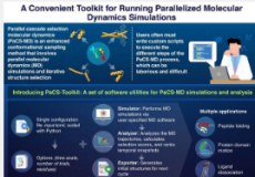 新工具包使分子动力学模拟变得更容易