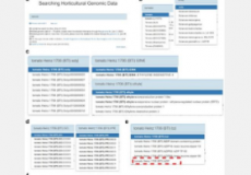 从基因组到花园引入园艺作物HortGenome搜索引擎