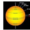 天文学家绘制太阳色球层差异旋转图