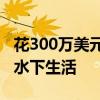 花300万美元体验迪拜世界岛屿上令人发指的水下生活