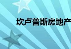 坎卢普斯房地产销售放缓但价格稳定