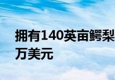 拥有140英亩鳄梨农场的微风大院寻求3000万美元