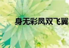 身无彩凤双飞翼 心有灵犀一点通意思