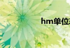 hm单位表示什么意思