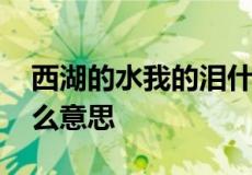 西湖的水我的泪什么梗 西湖的水我的泪是什么意思