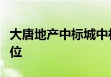 大唐地产中标城中村改造项目前期调查合作单位