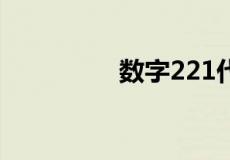 数字221代表什么意思啊