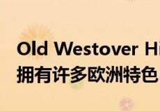 Old Westover Hills的房屋占地超过一英亩 拥有许多欧洲特色