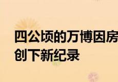 四公顷的万博因房产以 248 万美元的销售额创下新纪录