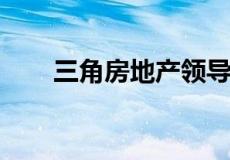 三角房地产领导者正在谈论的三件事