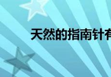 天然的指南针有哪些？不少于15个