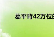 葛平背42万位的圆周率是多少分钟