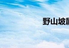 野山坡属于那个地区