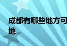 成都有哪些地方可以购买特产 成都特产购买地