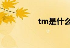 tm是什么意思网络用语