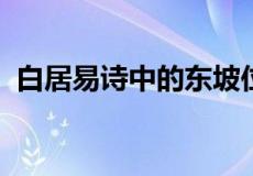 白居易诗中的东坡位于现在重庆的什么地方