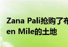 Zana Pali抢购了布莱顿著名的黄金地带Golden Mile的土地