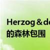 Herzog＆deMeuron的波尔多体育场被细长的森林包围