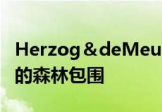 Herzog＆deMeuron的波尔多体育场被细长的森林包围