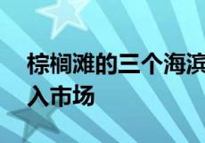 棕榈滩的三个海滨地标房地产40年来首次进入市场