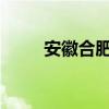 安徽合肥市省立医院怎么网上挂号