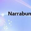 Narrabundah小屋的售价为61万美元