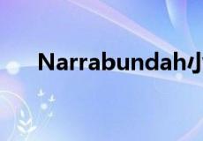 Narrabundah小屋的售价为61万美元