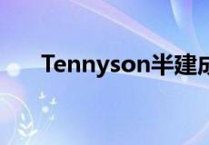 Tennyson半建成的海滨豪宅已经上市