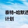 泰特·哈默透露伊甸园项目的850万英镑酒店计划