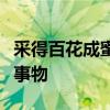 采得百花成蜜后为谁辛苦为谁甜描写的是什么事物