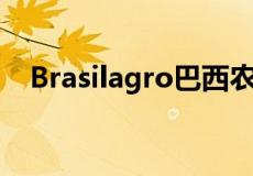 Brasilagro巴西农业房地产公司的赞助商