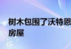 树木包围了沃特恩·恩吉亚建筑师的步进公园房屋