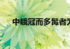 中峨冠而多髯者为东坡的为是什么意思