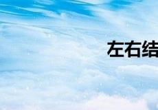 左右结构相同的字