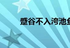 蹙谷不入洿池鱼鳖不可胜食也翻译