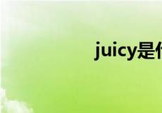 juicy是什么品牌 贵吗